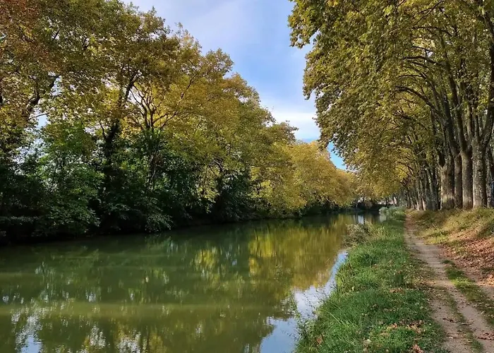 Διαμέρισμα Sejour Pro Ou Etudiant - Wifi Fibre, Parking Prive, Check-in Autonome, Proche Universites & Hopitaux Rangueil