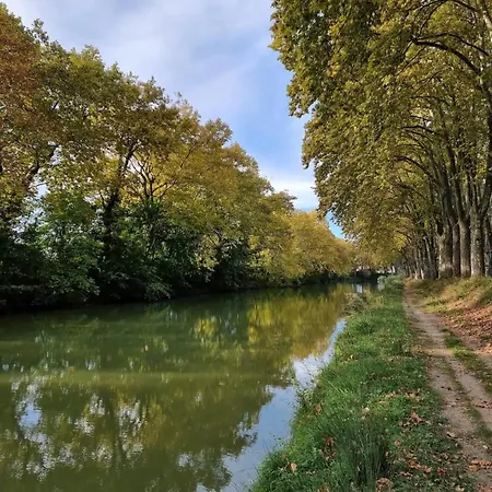 Daire Sejour Pro Ou Etudiant - Wifi Fibre, Parking Prive, Check-in Autonome, Proche Universites & Hopitaux Rangueil